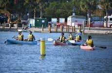 Aluguel de paddle surf ou caiaque em Miami