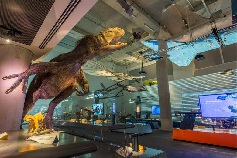 Exposição do Miami Science Museum