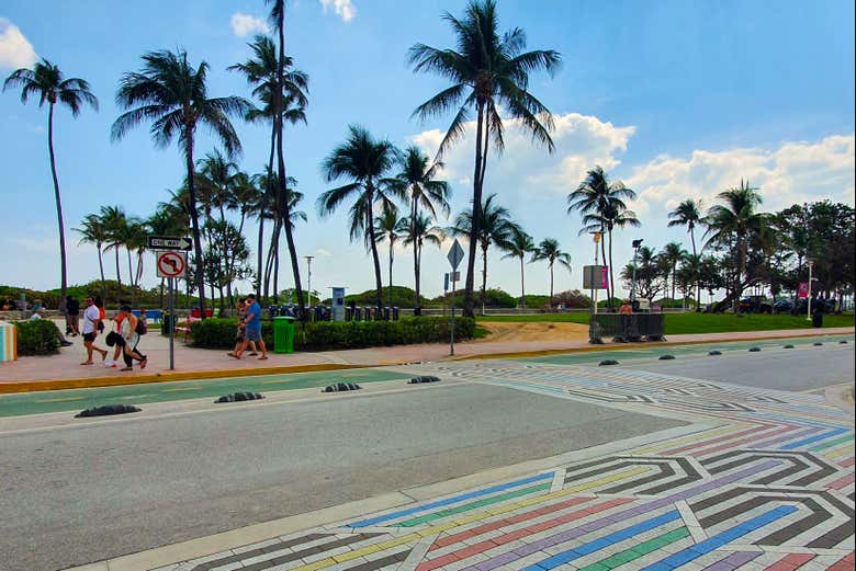 As emblemáticas palmeiras de Miami Beach