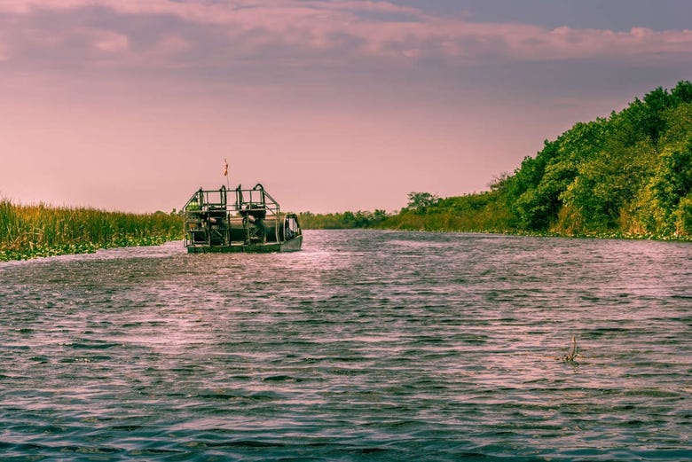 Panorâmica de um Hovercraft nos Everglades